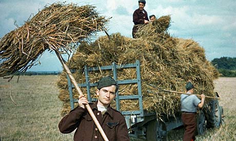 German POWs at work in Wales