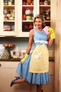 The joys of housework in the 1950s.