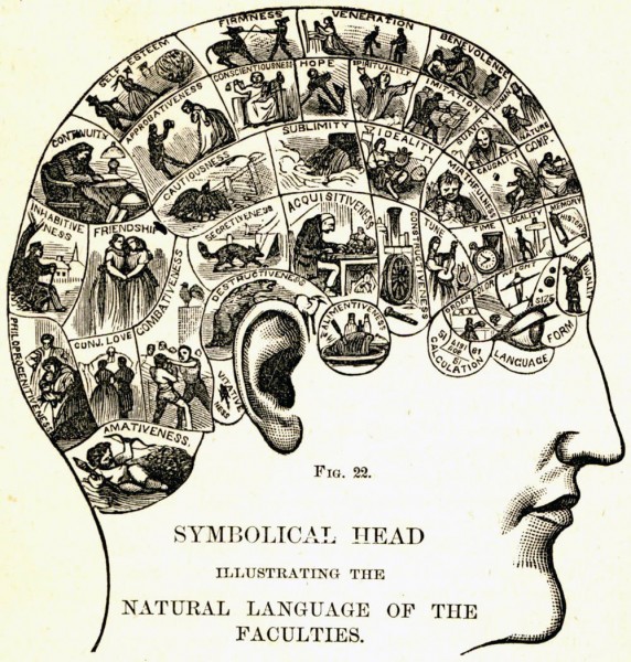 Walderhurst, a man of his times, was a firm believer in phrenology. 'Any number of people would be criminals if circumstances did not interfere. It depends a good deal on the shape of one's skull.'