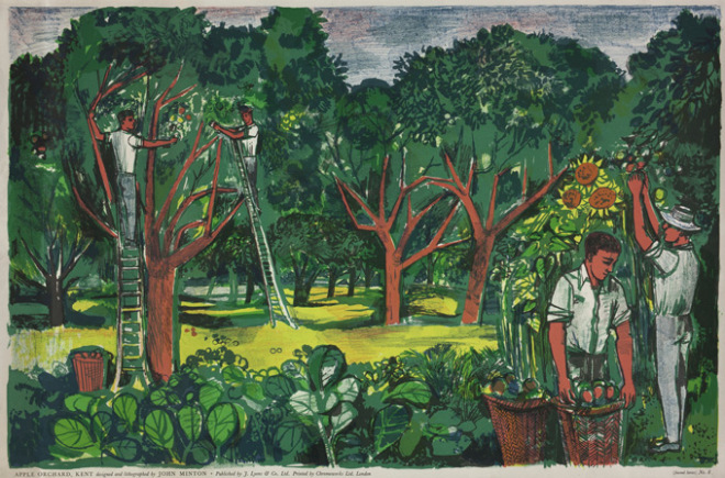 Apple-Orchard-Kent-1951-by-John-Minton