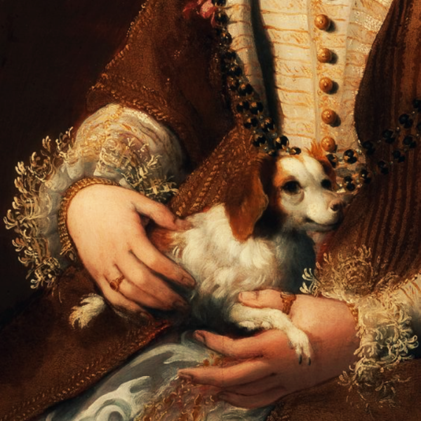 portrait-of-a-lady-with-a-dog-minutiae-detail-by-lavinia-fontana-via-lawhimsy