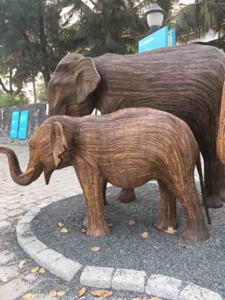 elephants